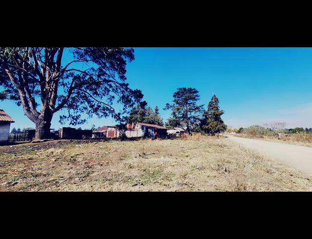 9.09HA FARM FOR SALE IN LIDGETTON
